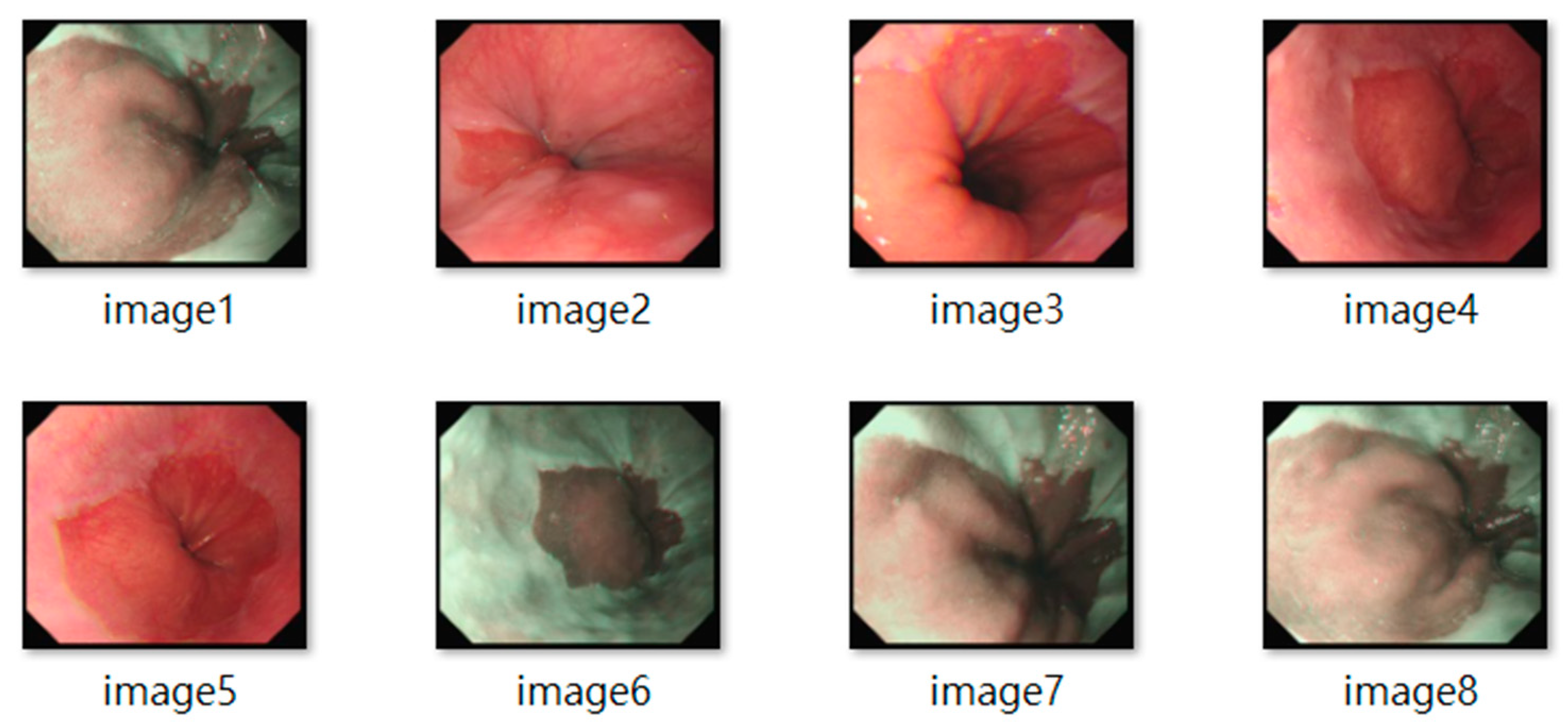 Diagnostics 15 02290 g002