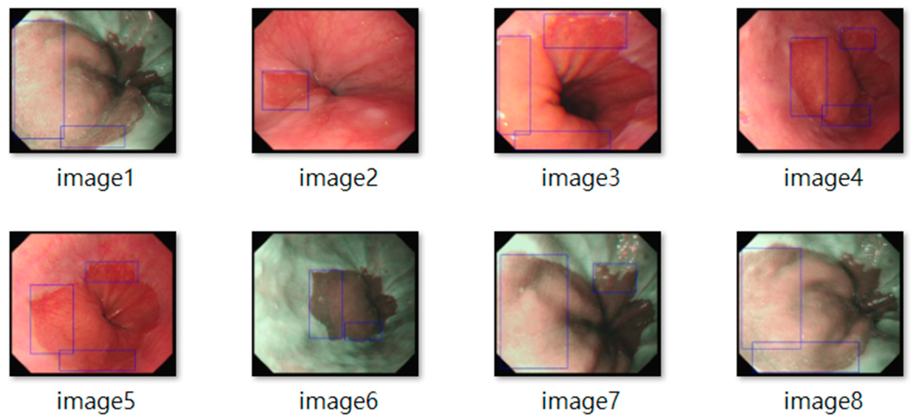 Diagnostics 15 02290 g003