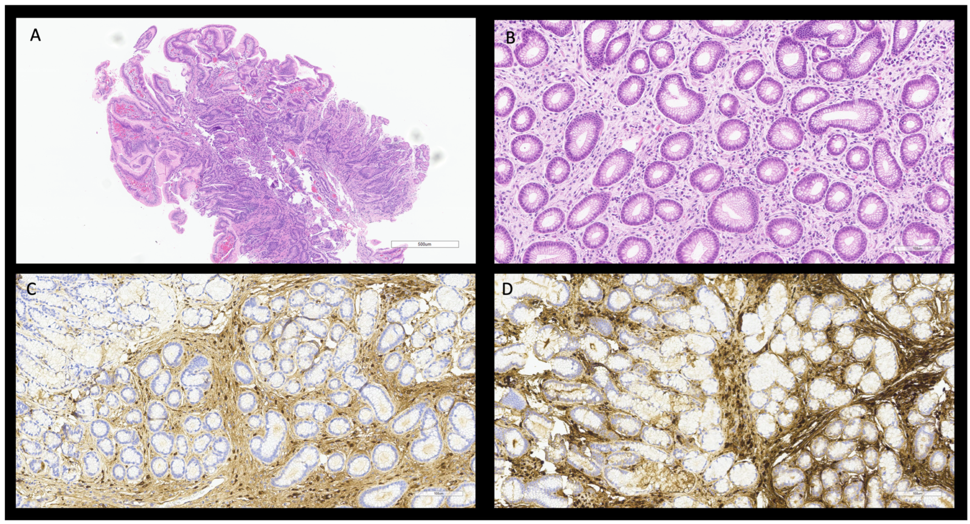 Diagnostics 15 02299 g001 Diagnostics 15 02299 g001