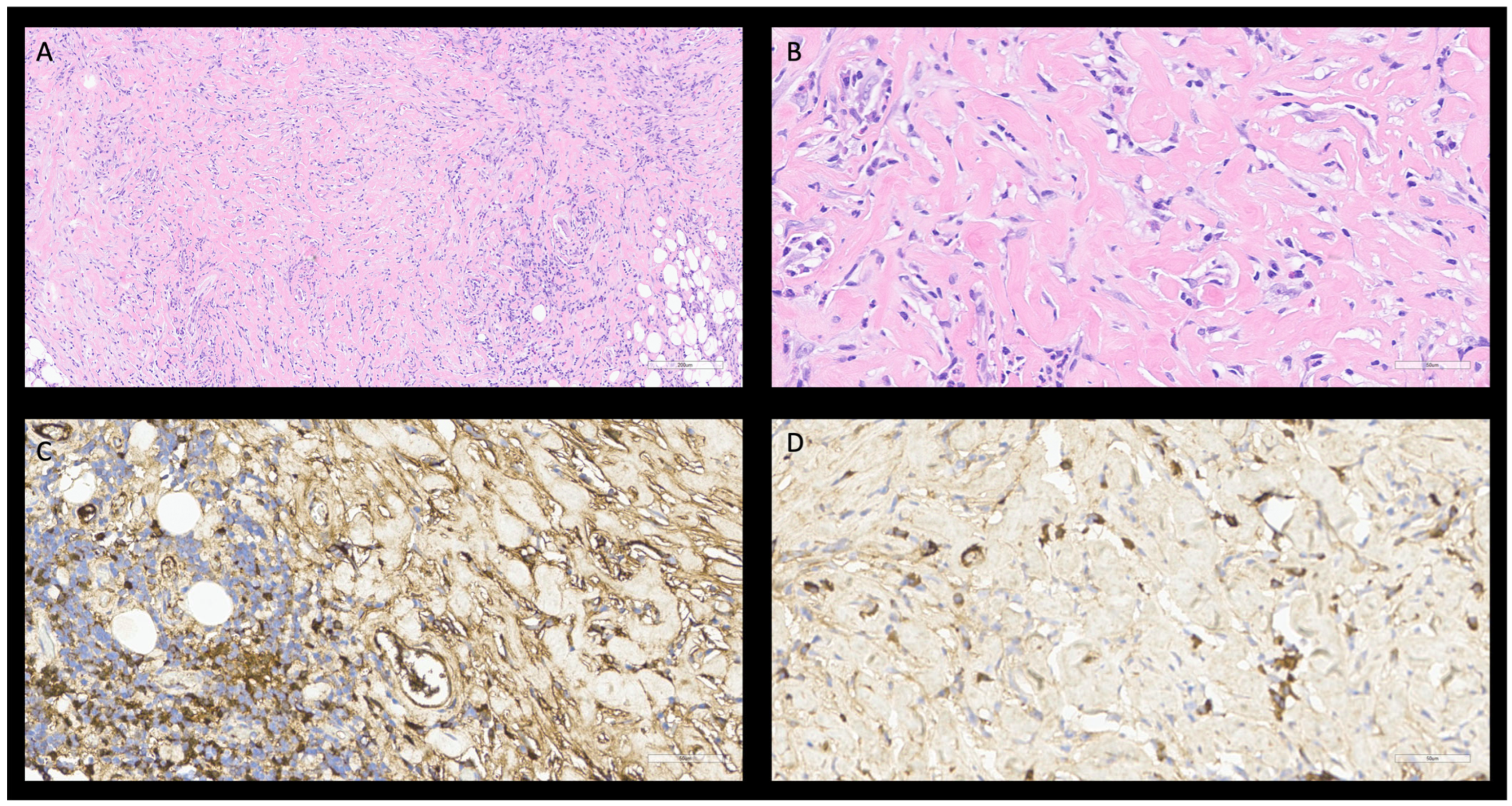 Diagnostics 15 02299 g002 Diagnostics 15 02299 g002