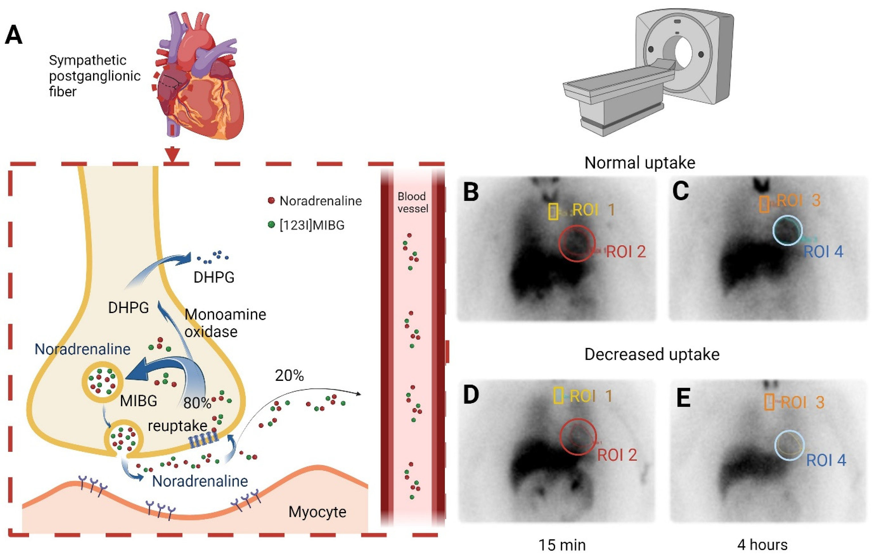 Diagnostics 15 02306 g001