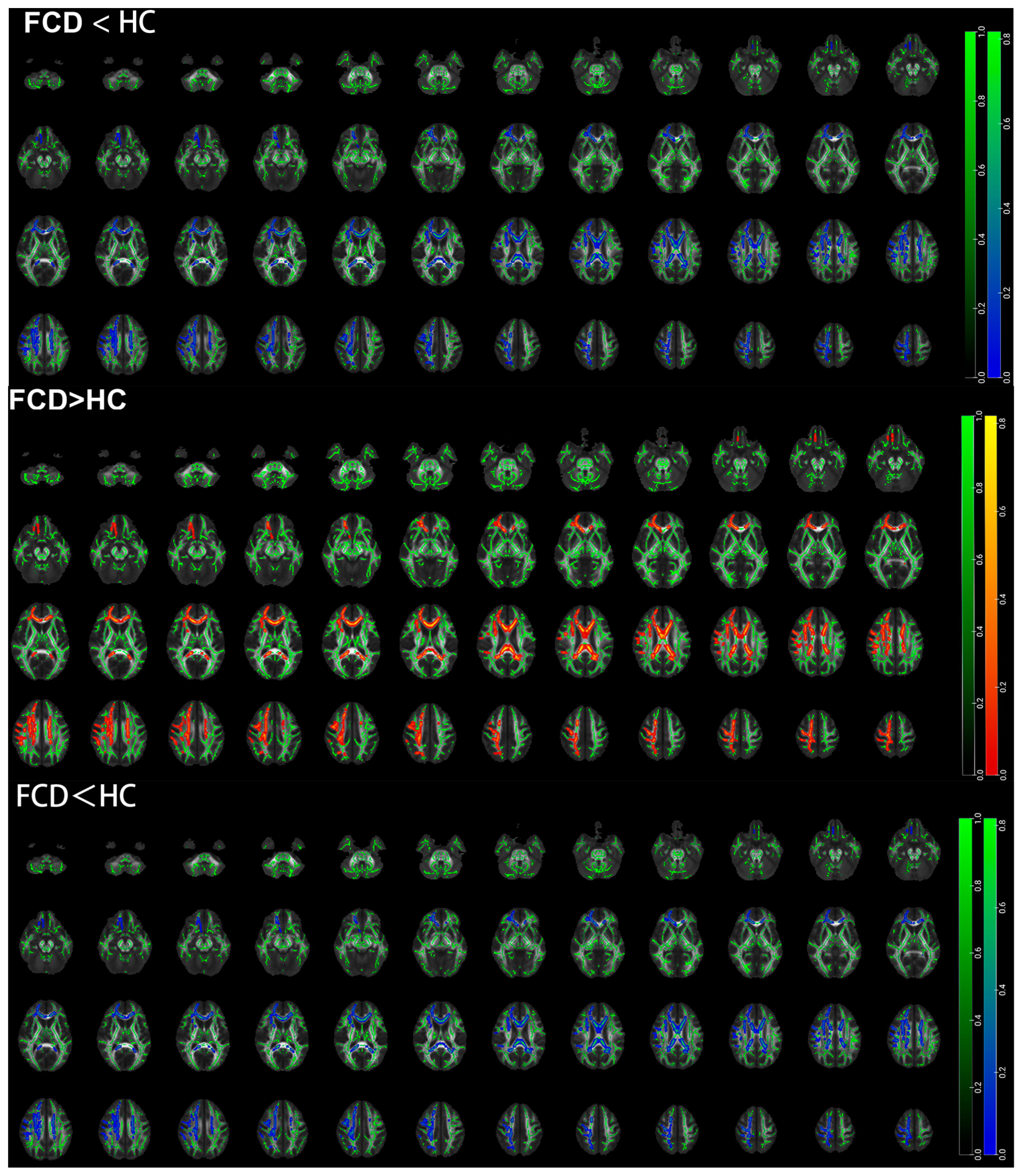 Diagnostics 15 02311 g004 Diagnostics 15 02311 g004