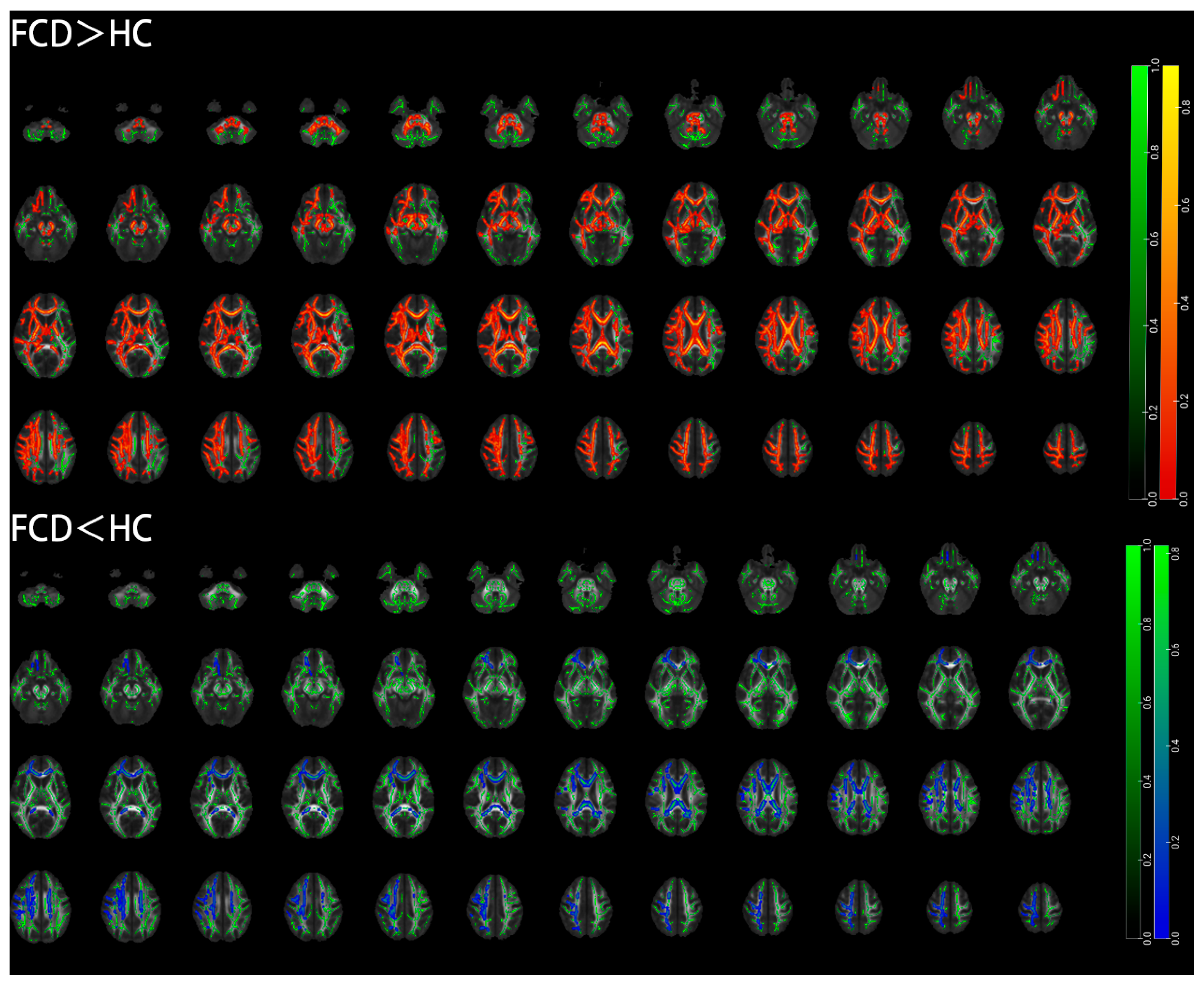 Diagnostics 15 02311 g005 Diagnostics 15 02311 g005