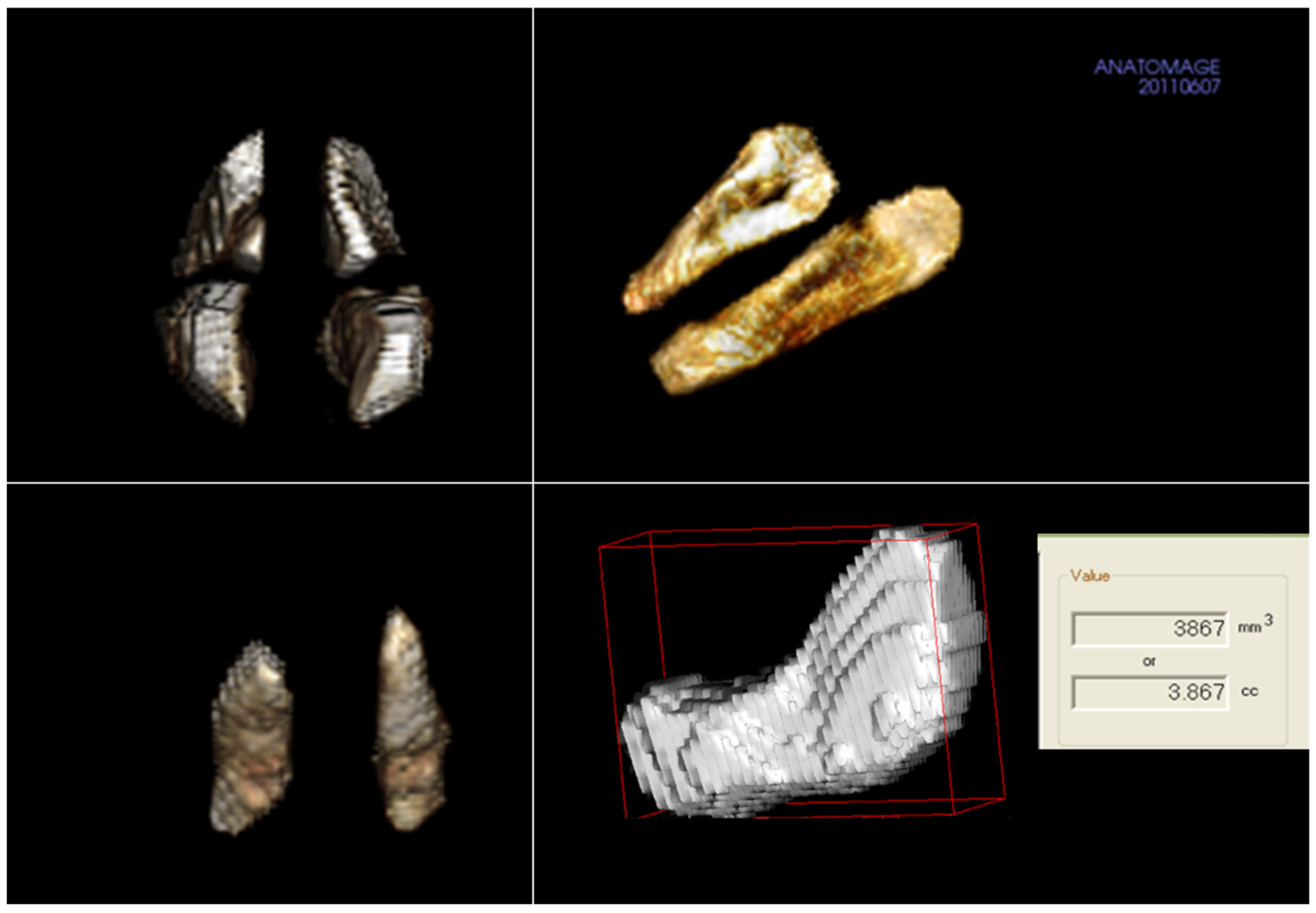 Diagnostics 15 02319 g001 Diagnostics 15 02319 g001