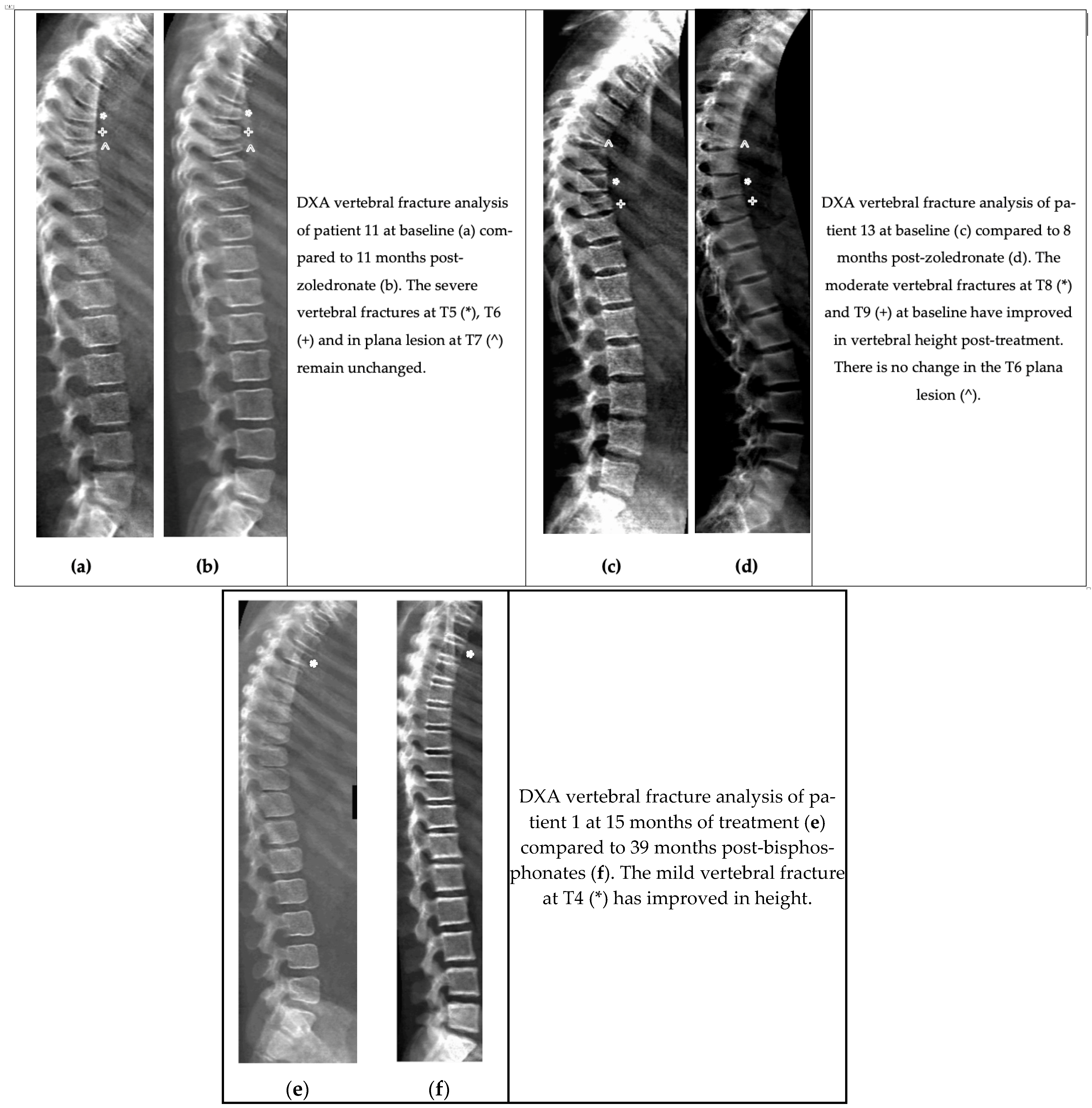 Diagnostics 15 02320 g001