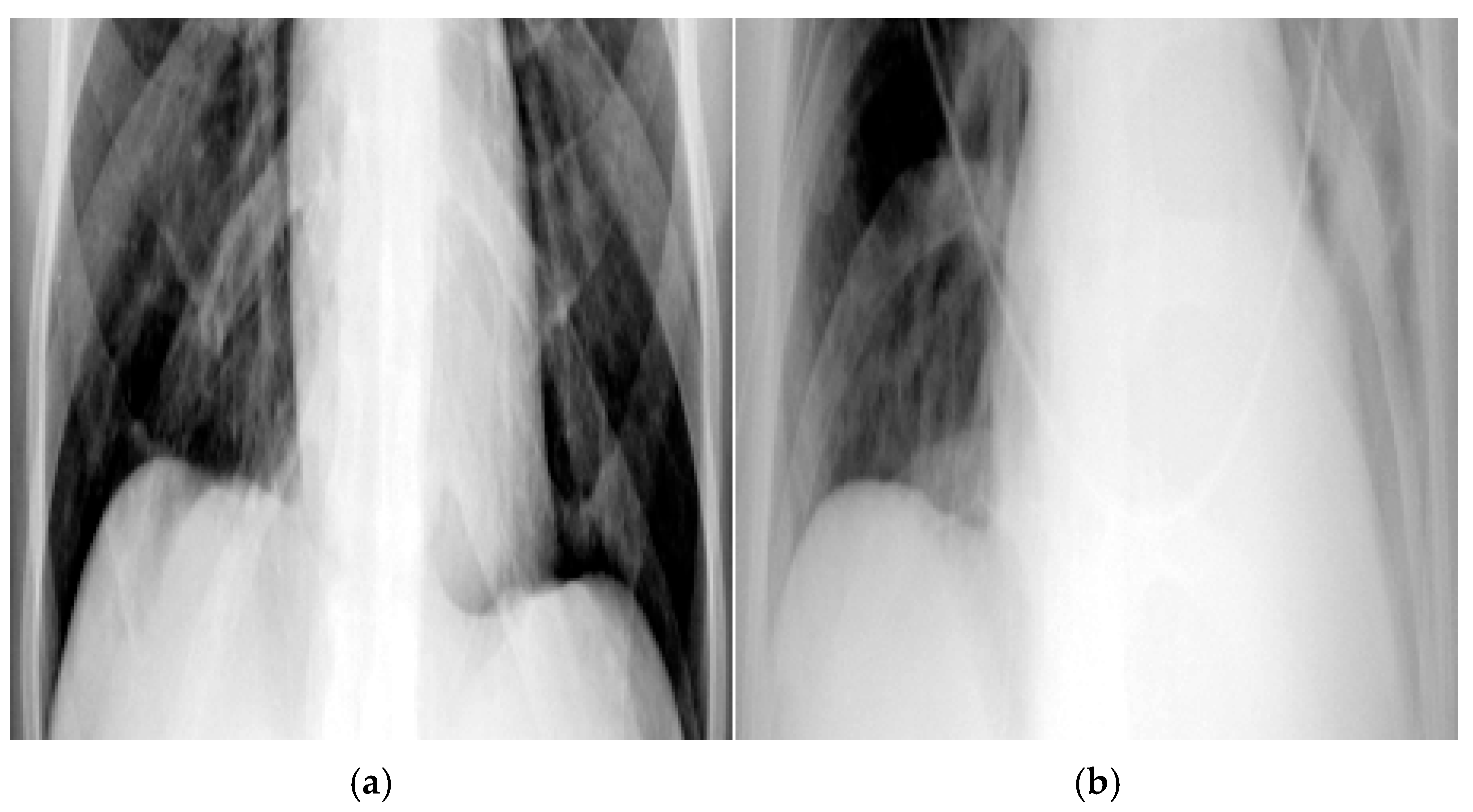 Diagnostics 15 02322 g005 Diagnostics 15 02322 g005