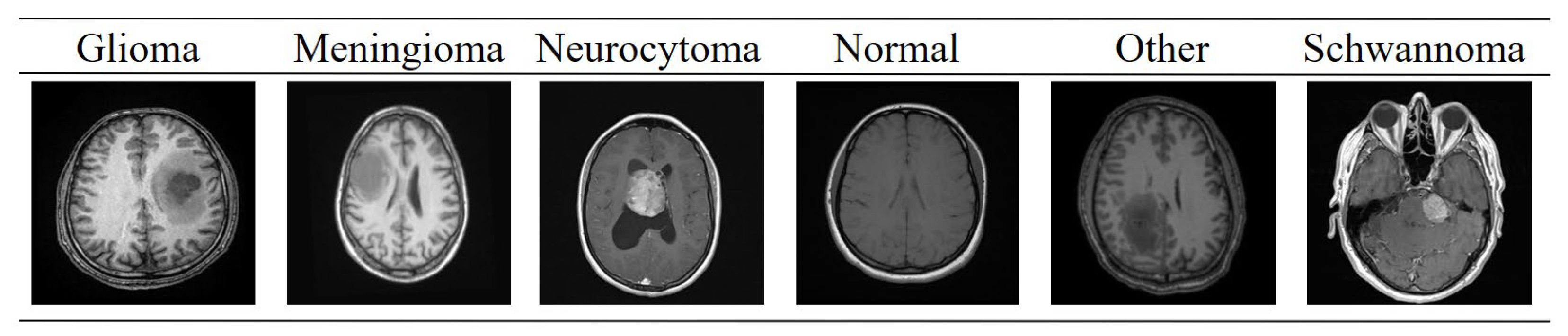 Diagnostics 15 02326 g001