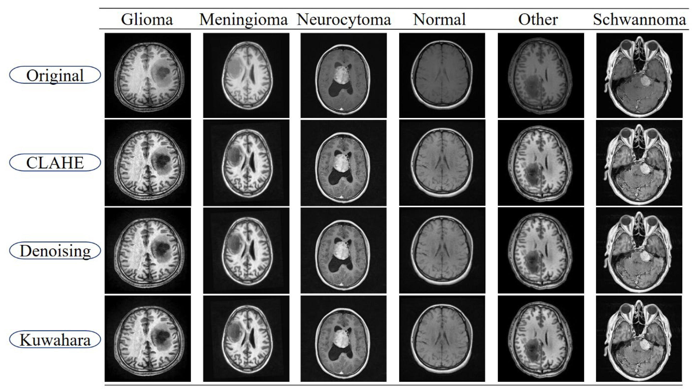Diagnostics 15 02326 g002