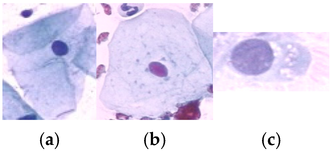 Diagnostics 15 02328 g002 Diagnostics 15 02328 g002