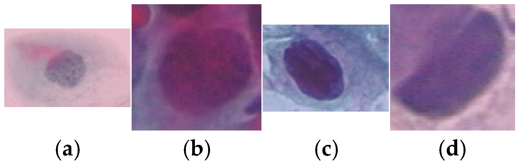 Diagnostics 15 02328 g003 Diagnostics 15 02328 g003