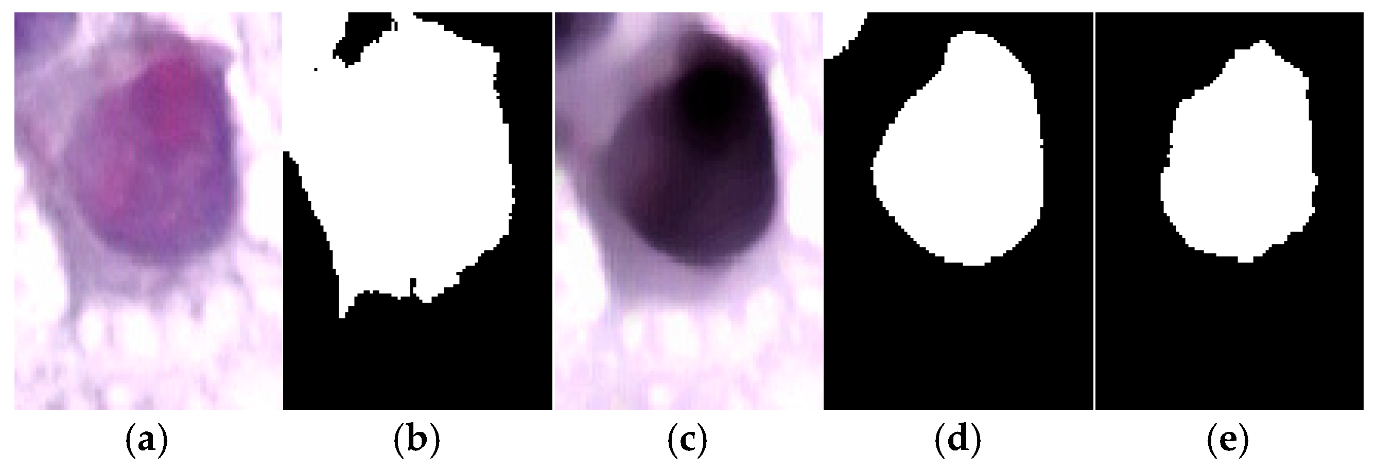 Diagnostics 15 02328 g007 Diagnostics 15 02328 g007