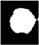 Diagnostics 15 02328 i002 Diagnostics 15 02328 i002