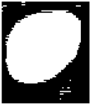 Diagnostics 15 02328 i005 Diagnostics 15 02328 i005