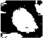 Diagnostics 15 02328 i007 Diagnostics 15 02328 i007