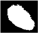 Diagnostics 15 02328 i008 Diagnostics 15 02328 i008