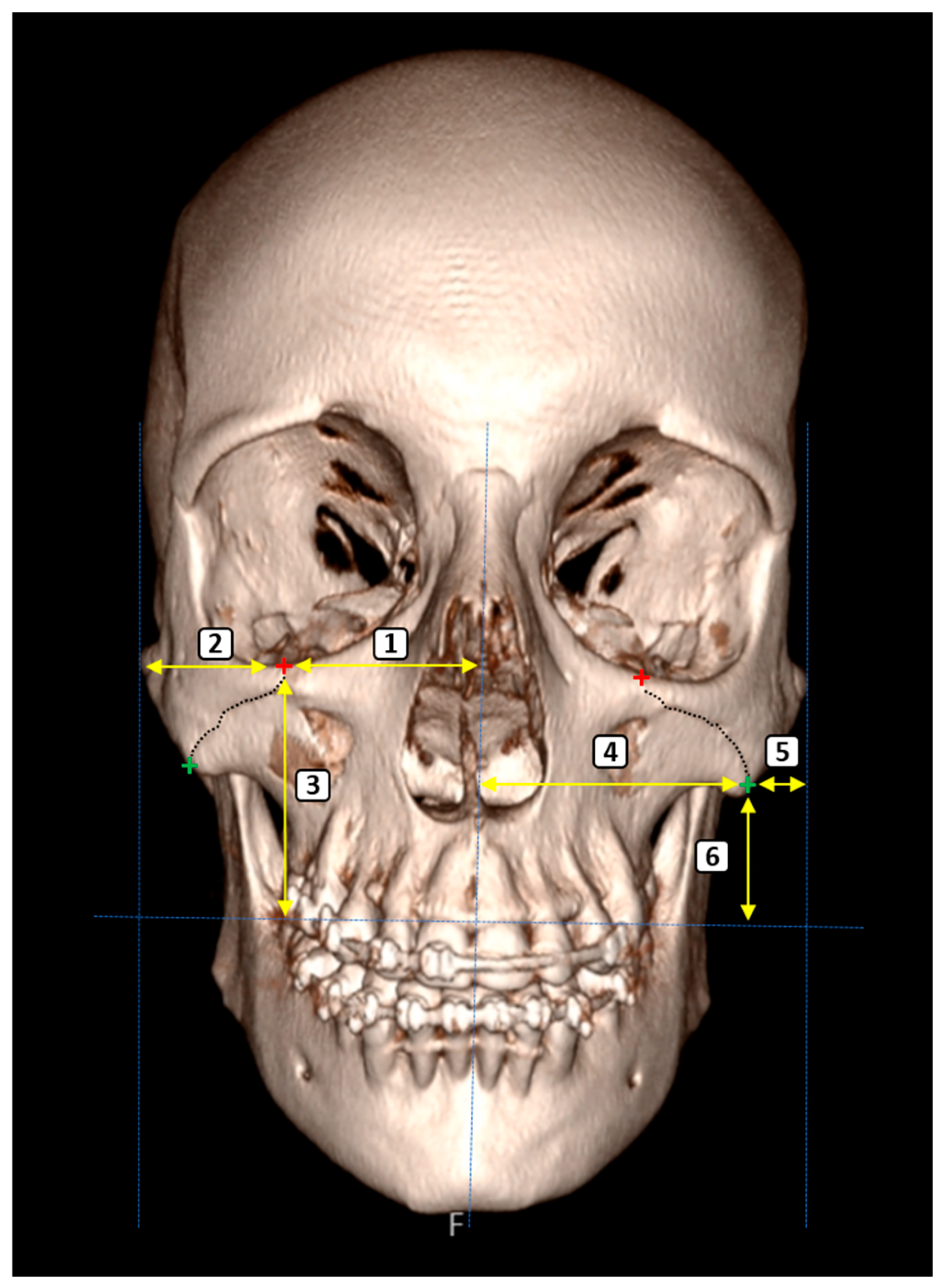 Diagnostics 15 02330 g001