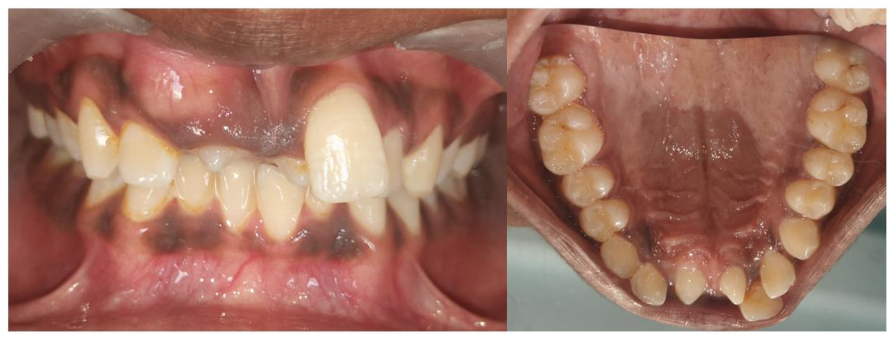 Diagnostics 15 02335 g001