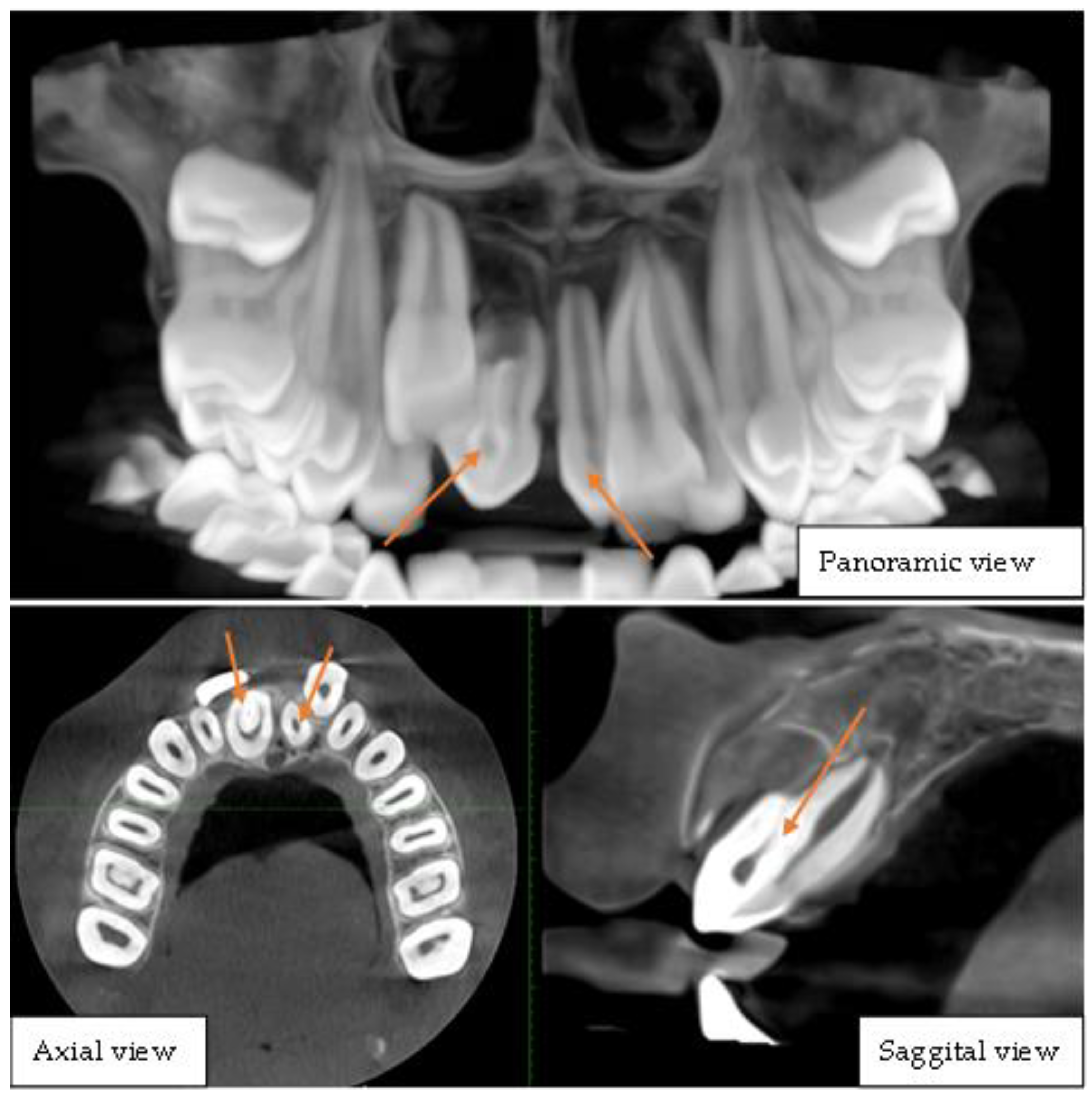 Diagnostics 15 02335 g002