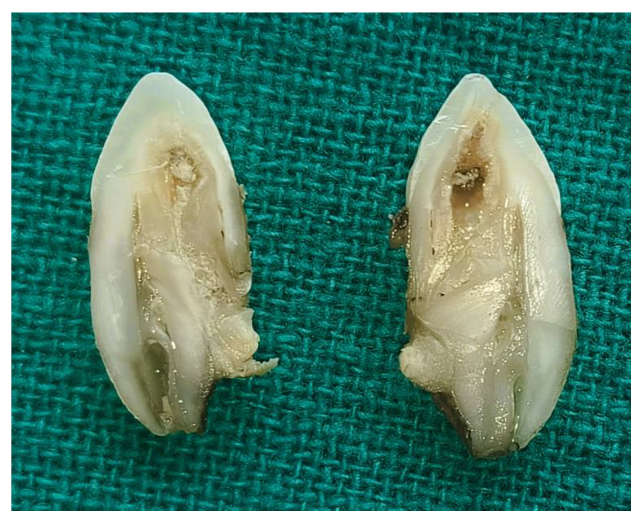 Diagnostics 15 02335 g003