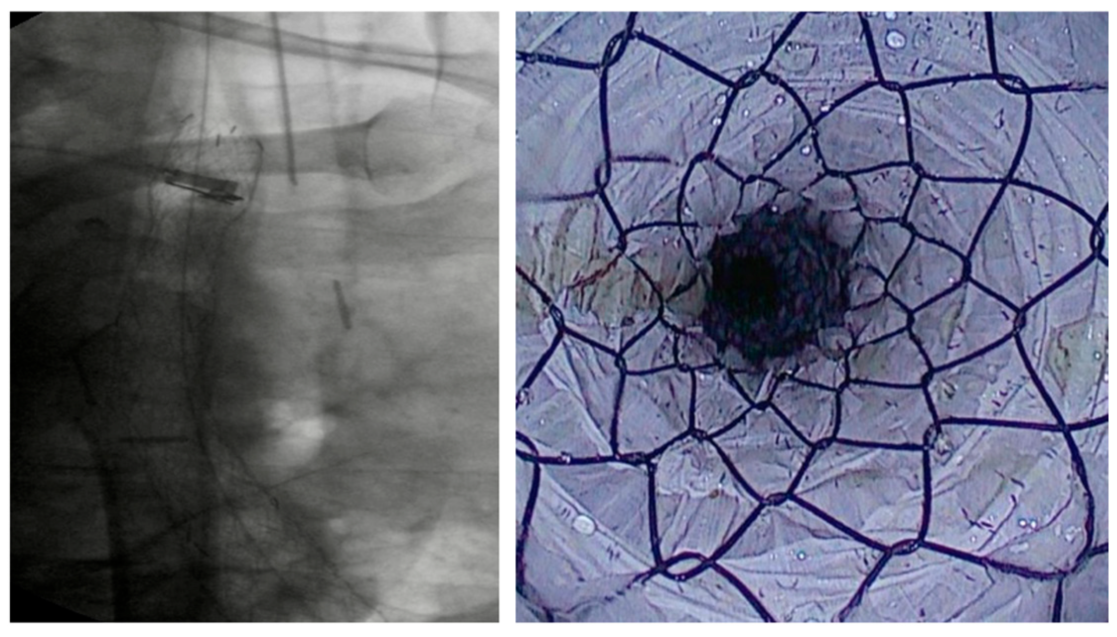 Diagnostics 15 02344 g001