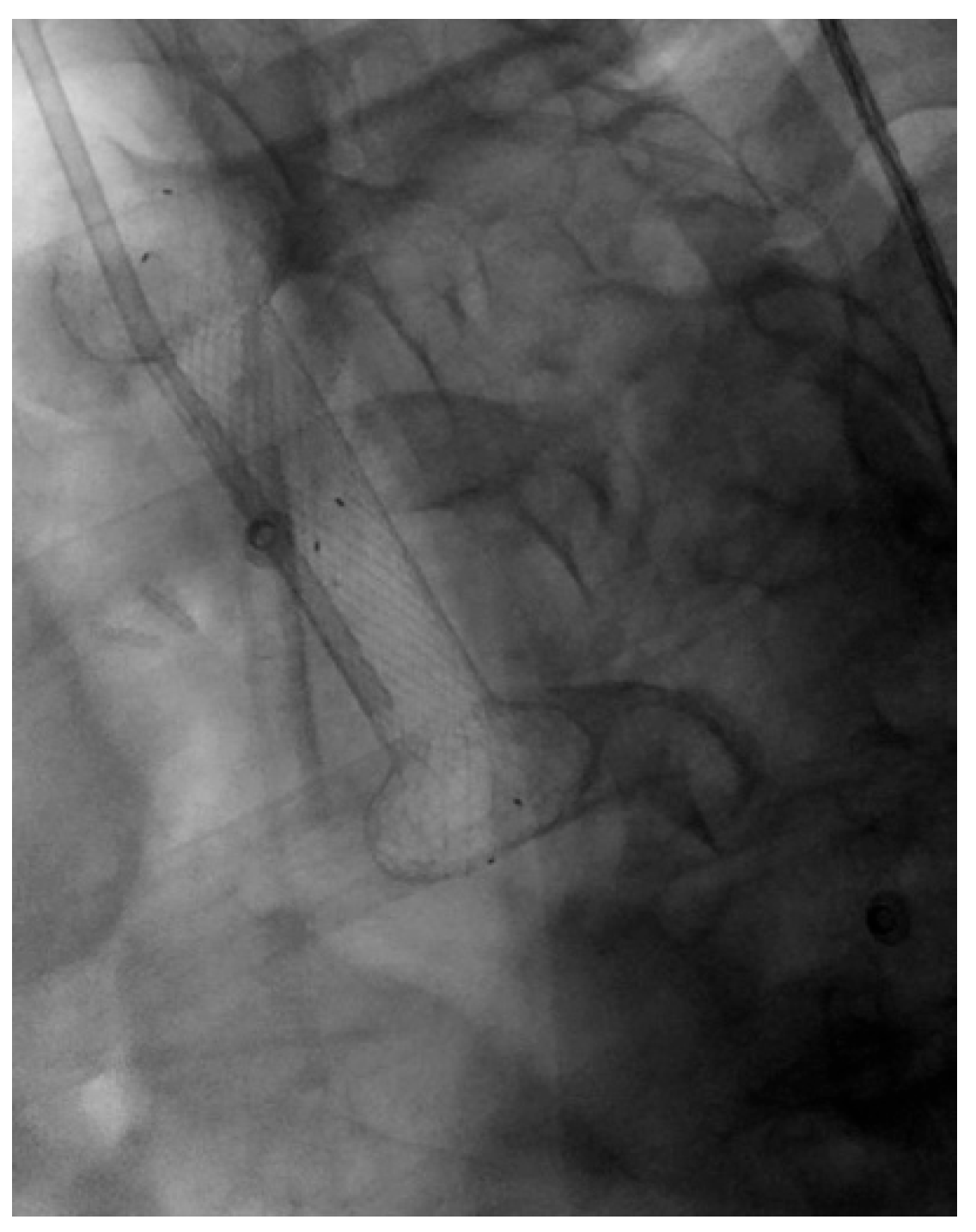 Diagnostics 15 02344 g003