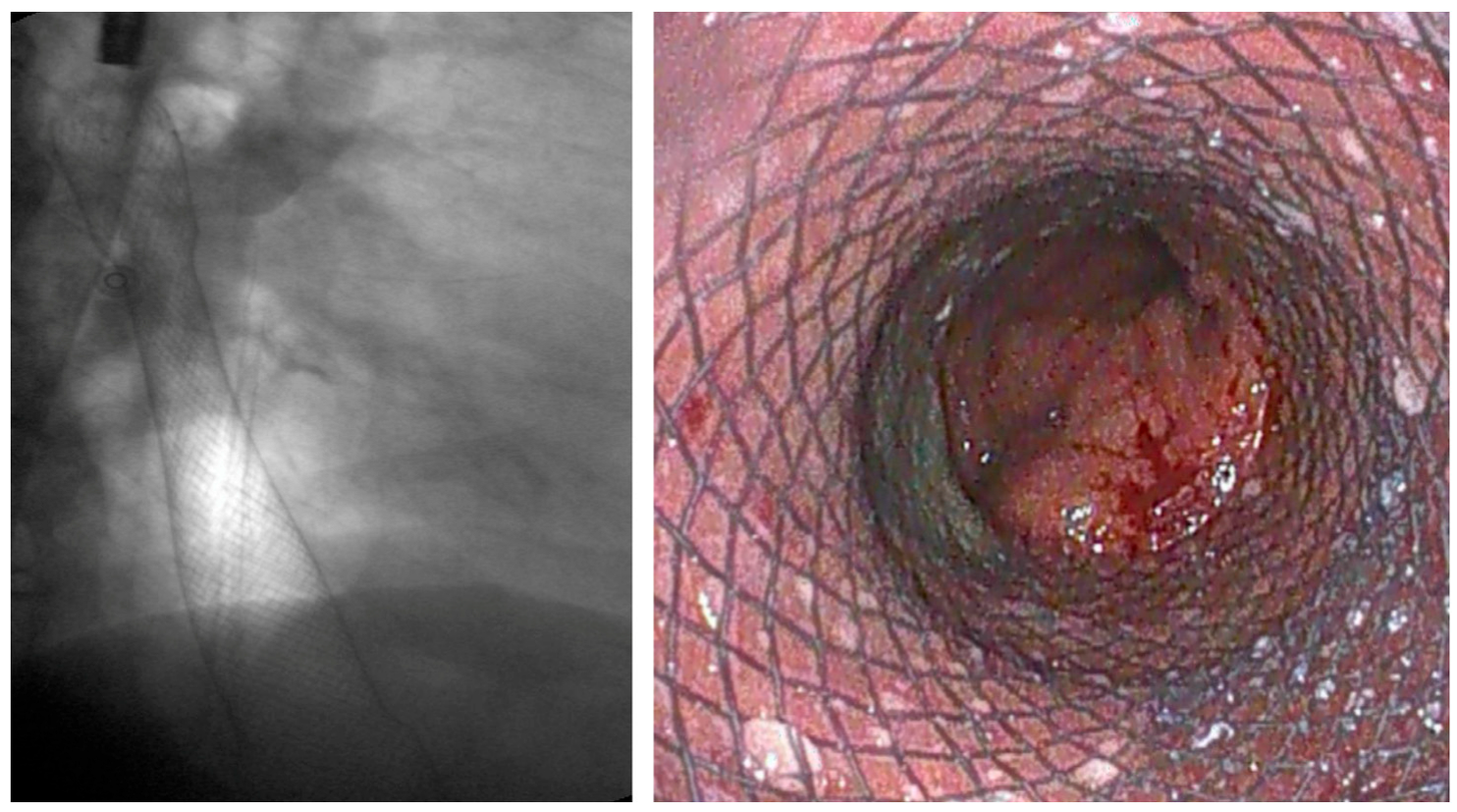 Diagnostics 15 02344 g004