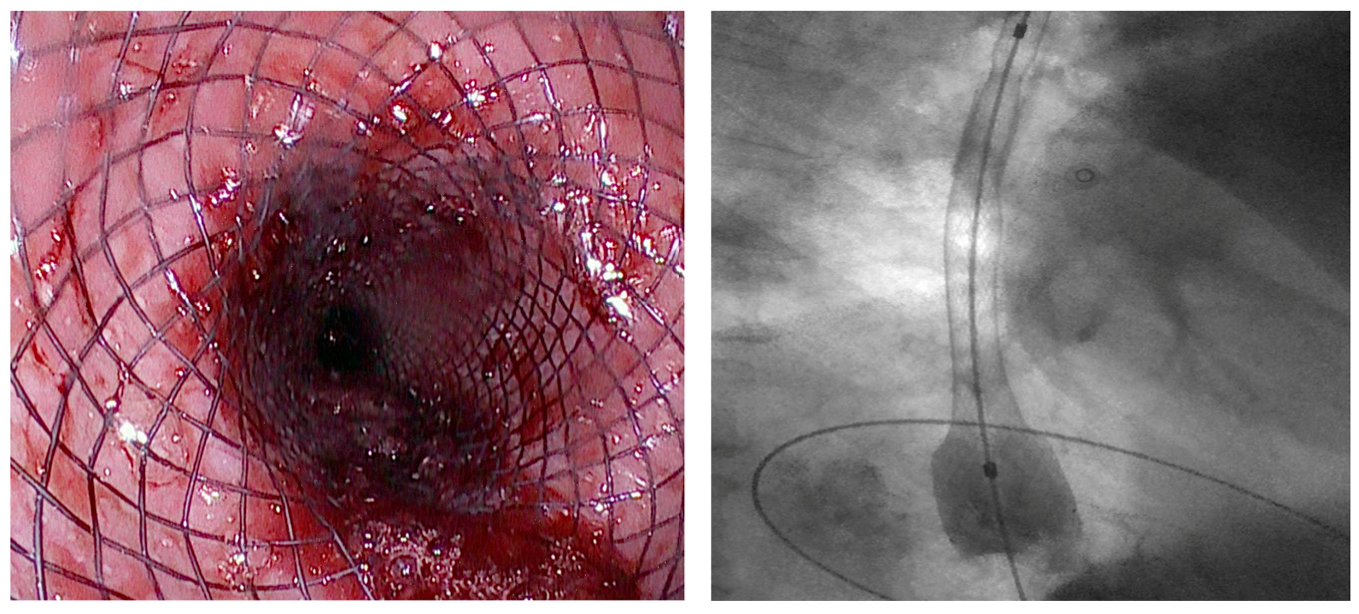 Diagnostics 15 02344 g005