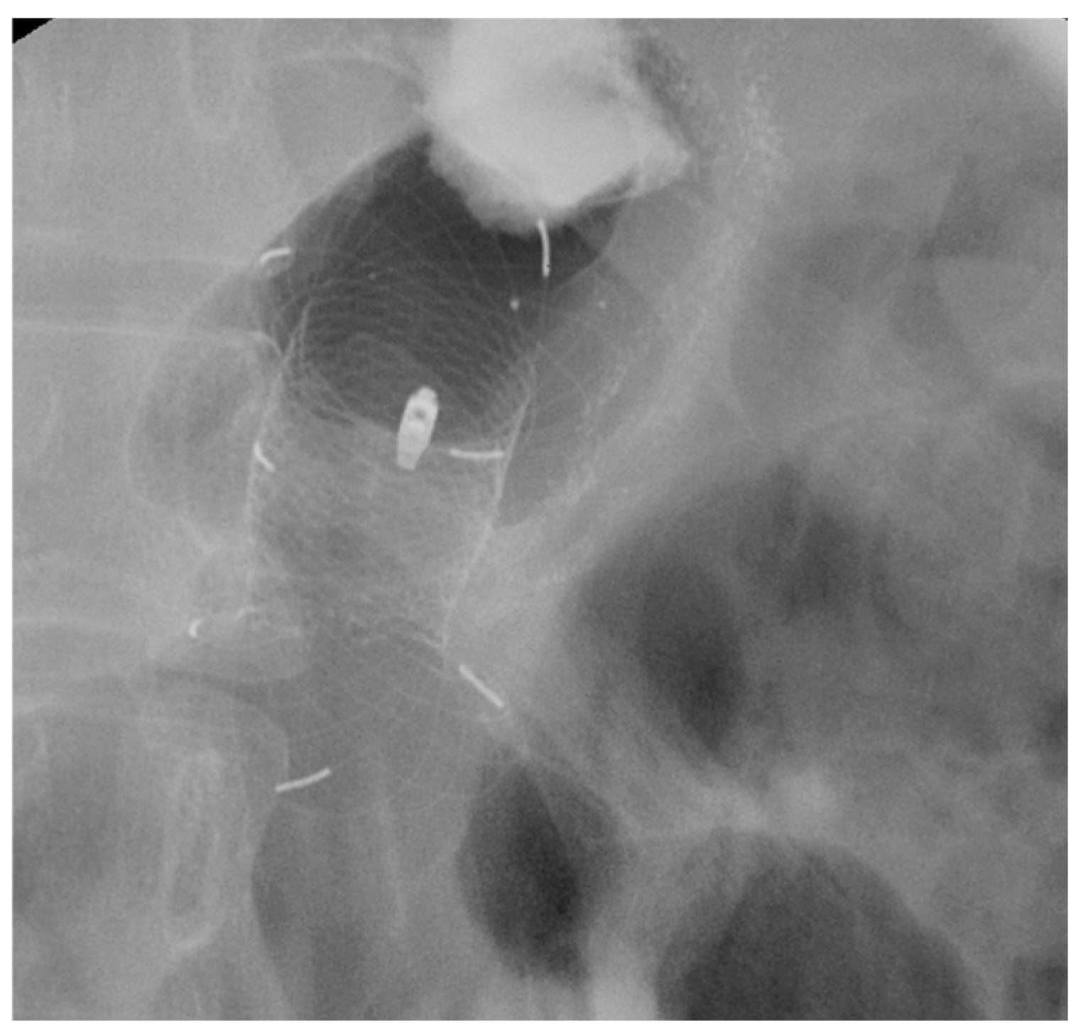 Diagnostics 15 02344 g006