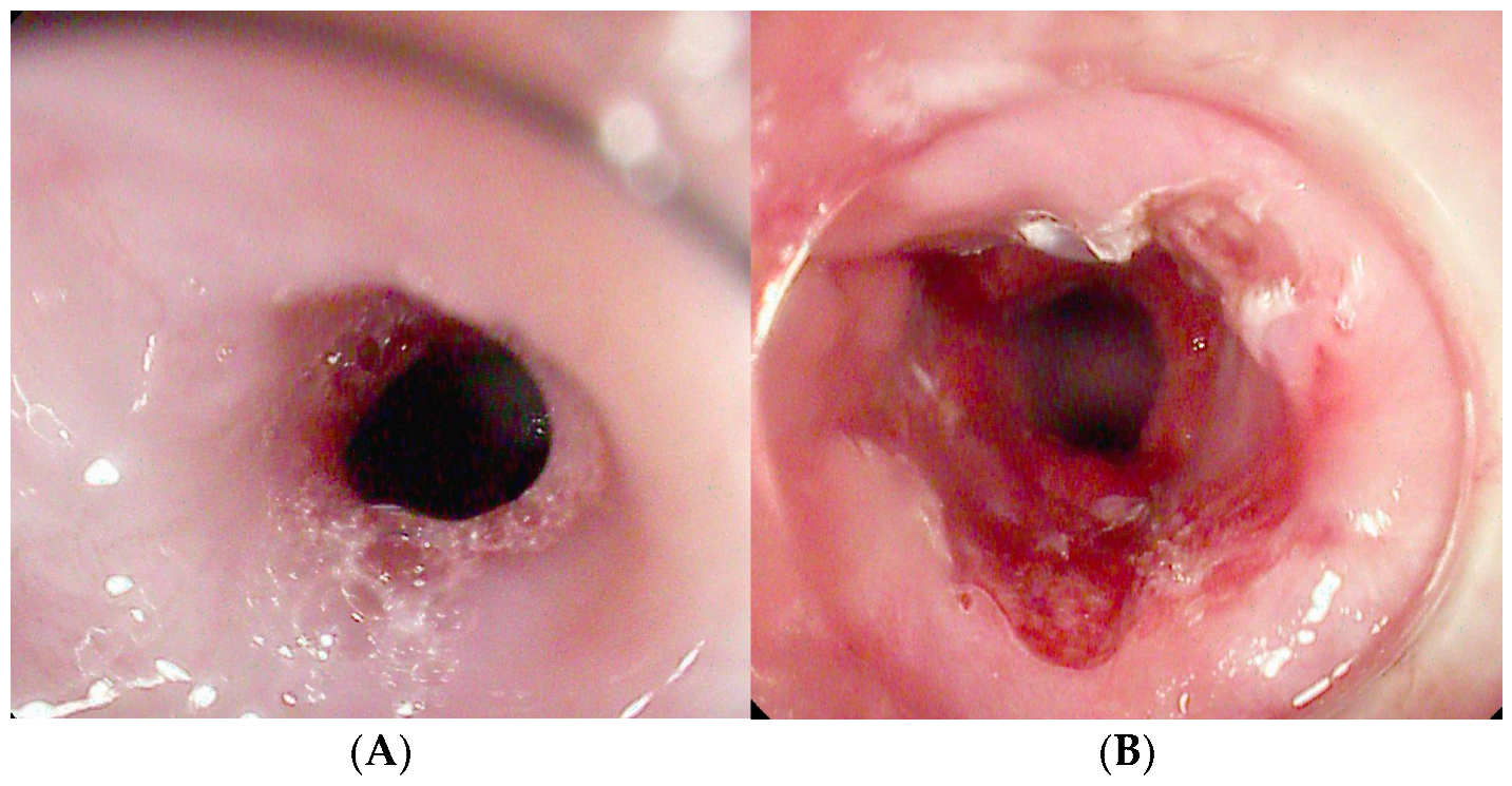 Diagnostics 15 02344 g007