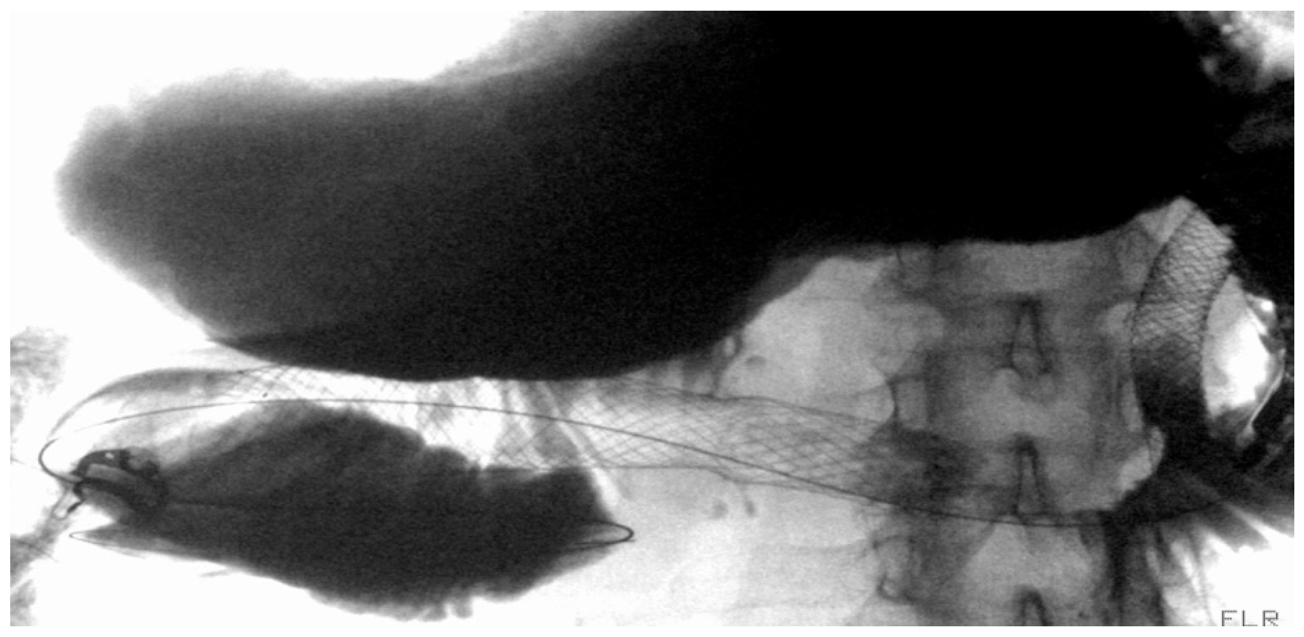 Diagnostics 15 02344 g008