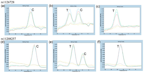 Duplex Probe-Based Fluorescence Melting Curve Analysis for