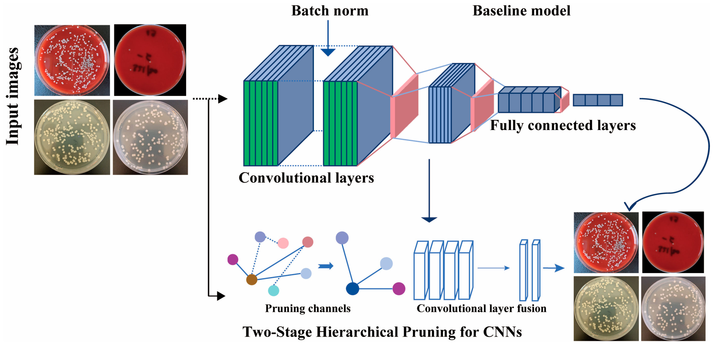 Diagnostics 15 02349 g001