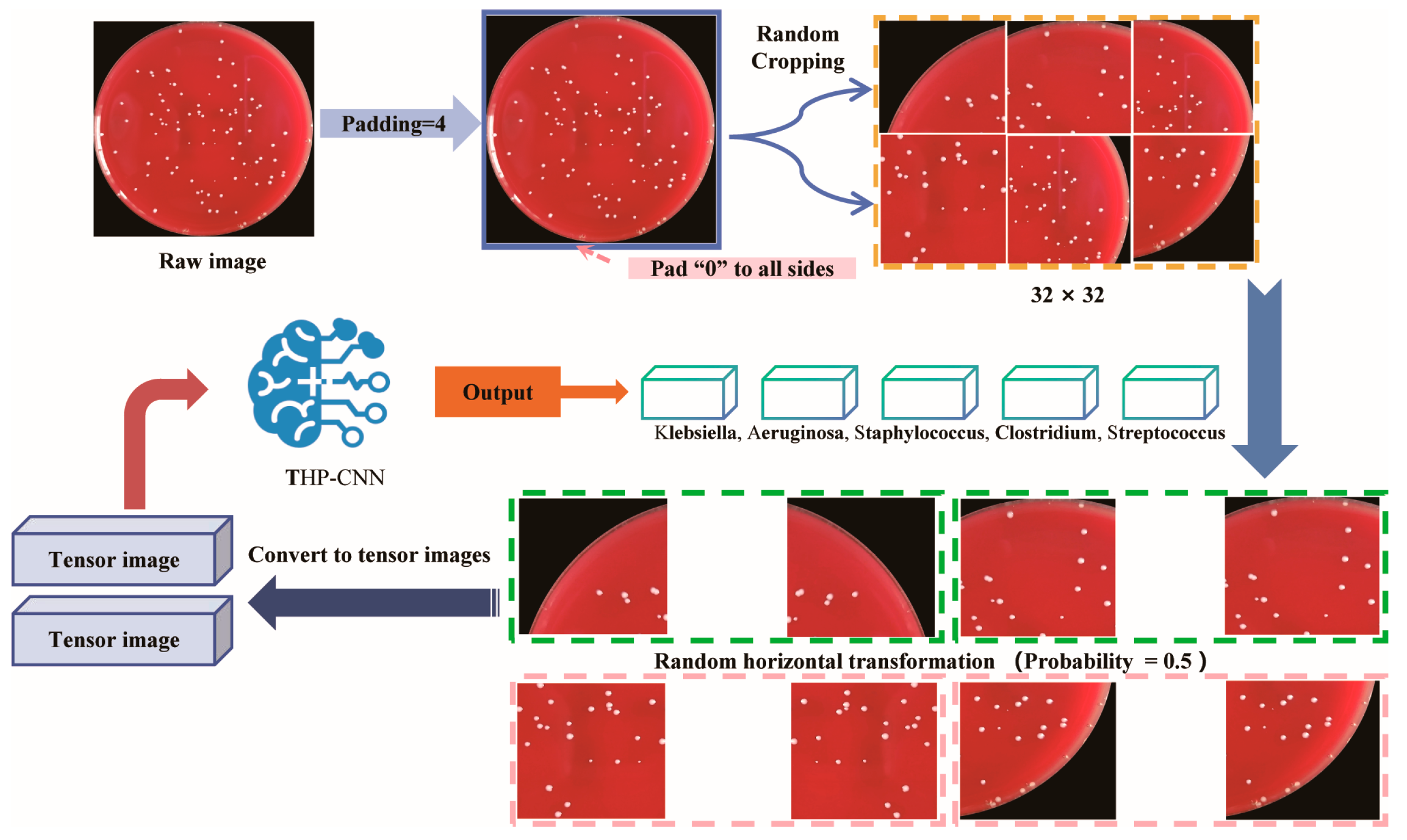 Diagnostics 15 02349 g003