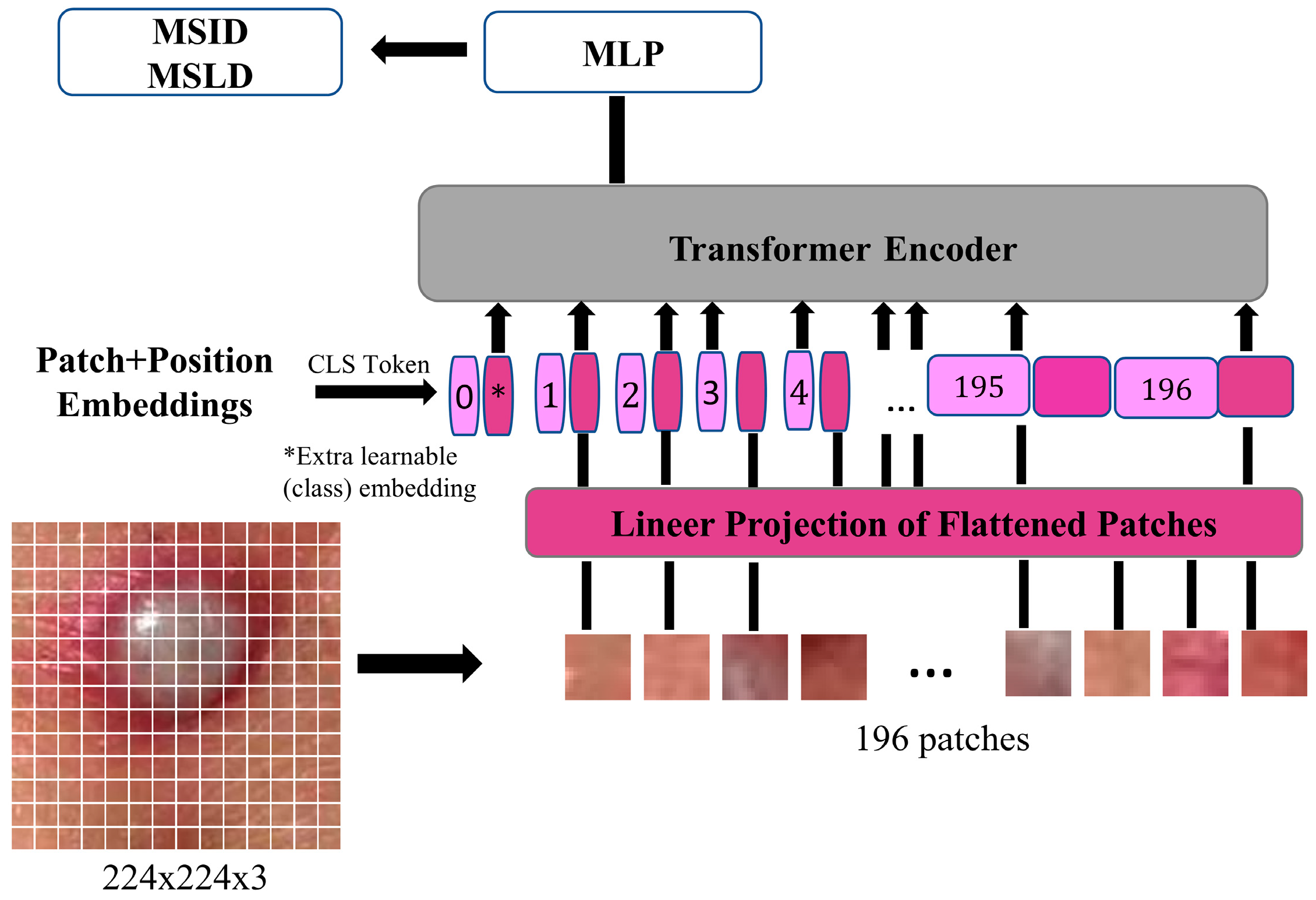 Diagnostics 15 02354 g002 Diagnostics 15 02354 g002