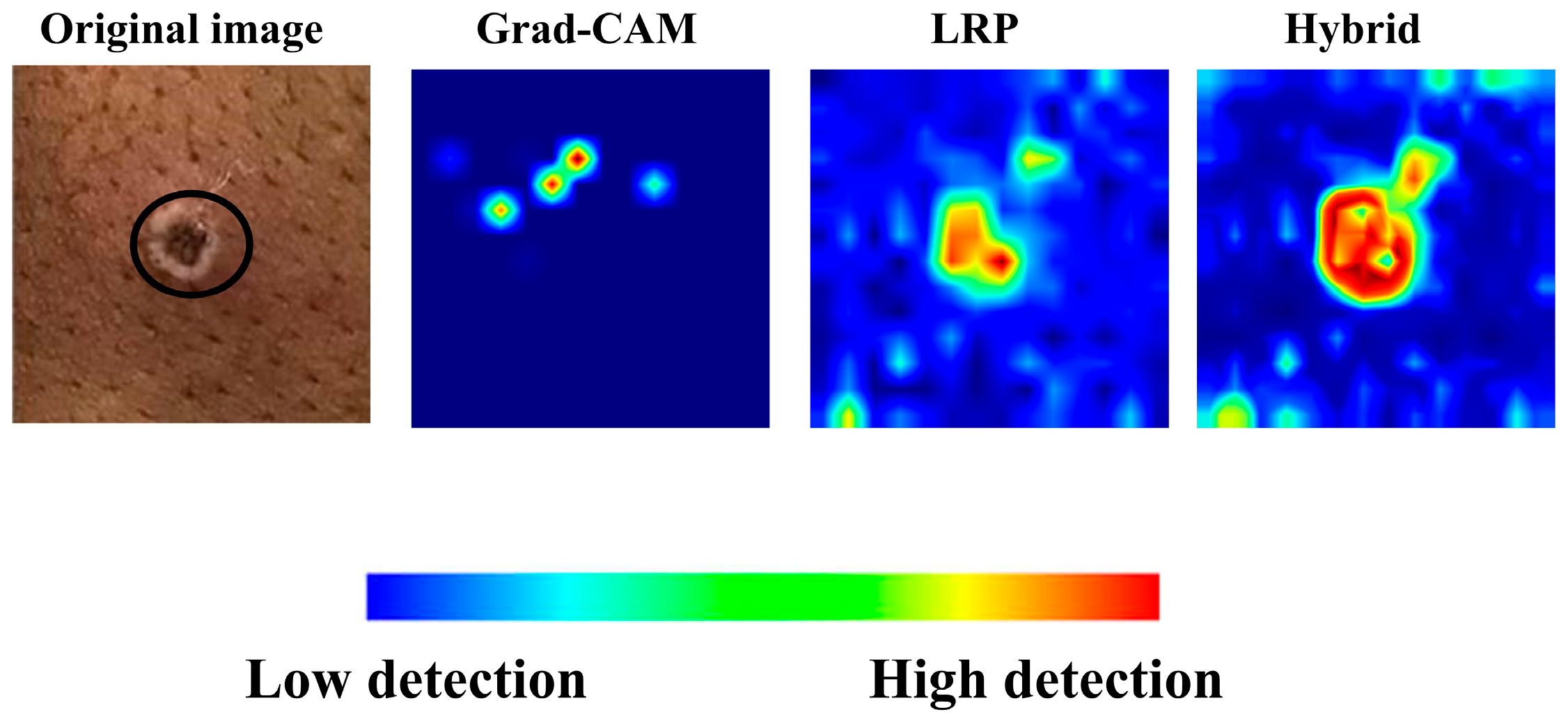 Diagnostics 15 02354 g006 Diagnostics 15 02354 g006