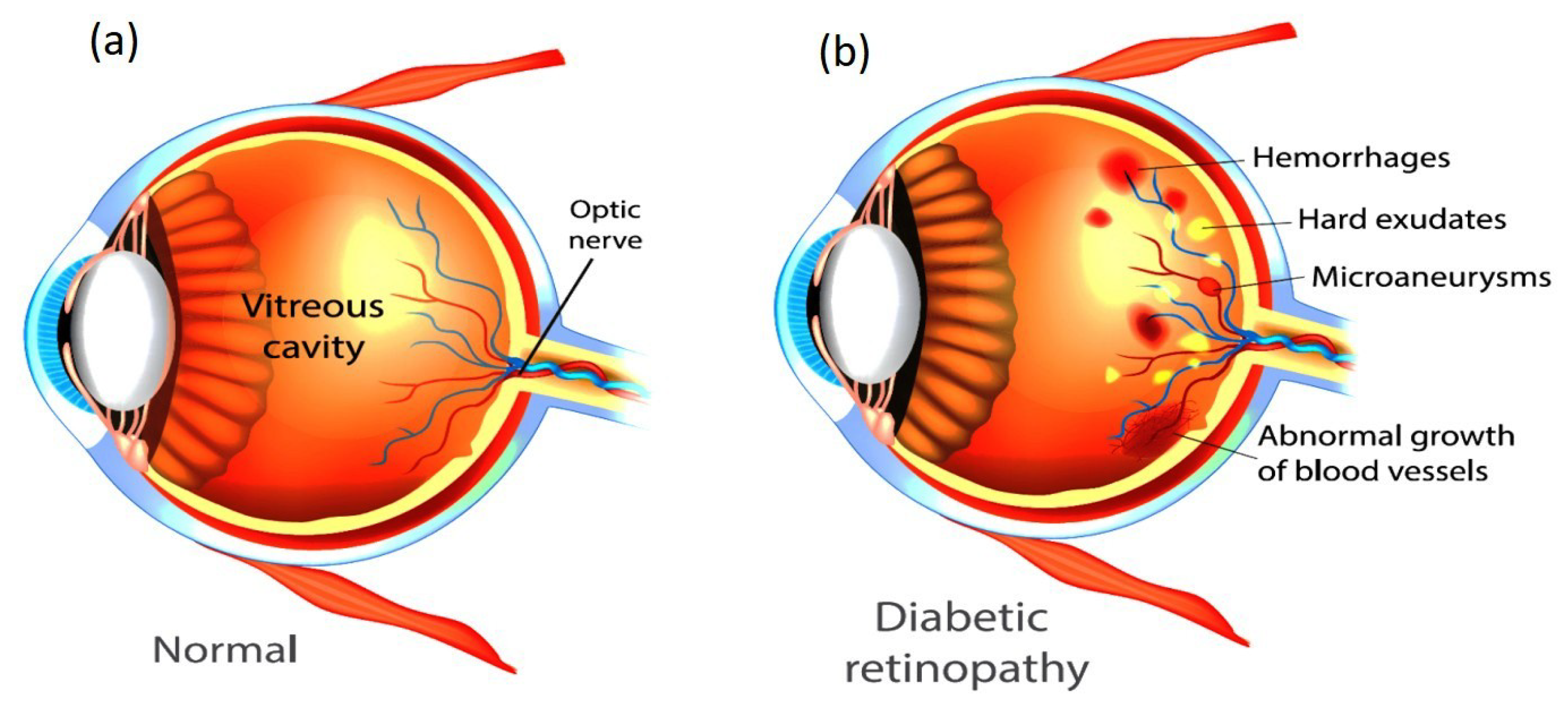 Diagnostics 15 02355 g001