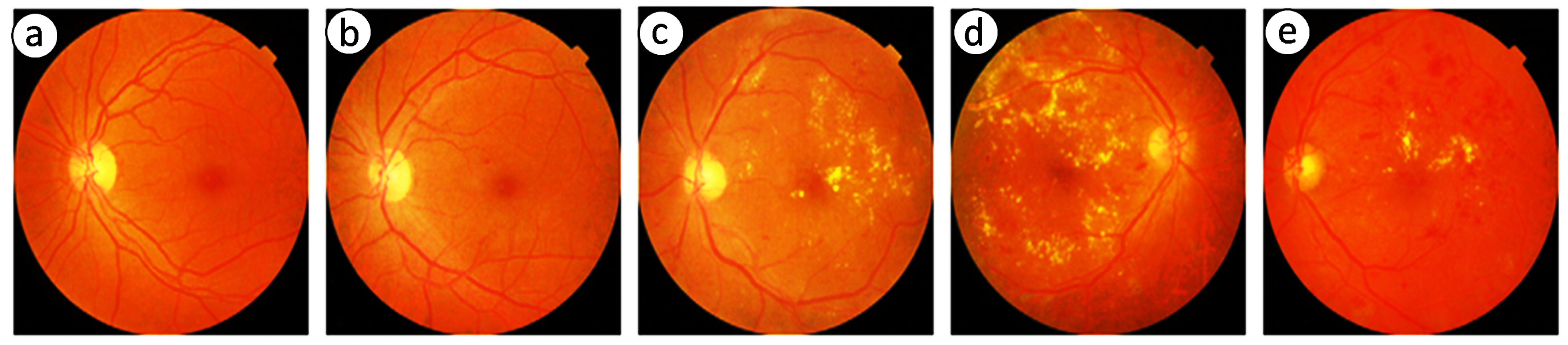 Diagnostics 15 02355 g003
