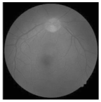 Diagnostics 15 02355 i001