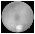 Diagnostics 15 02355 i009