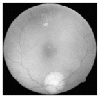 Diagnostics 15 02355 i010