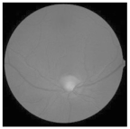 Diagnostics 15 02355 i011