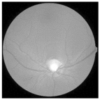 Diagnostics 15 02355 i013