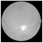 Diagnostics 15 02355 i014