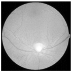 Diagnostics 15 02355 i015