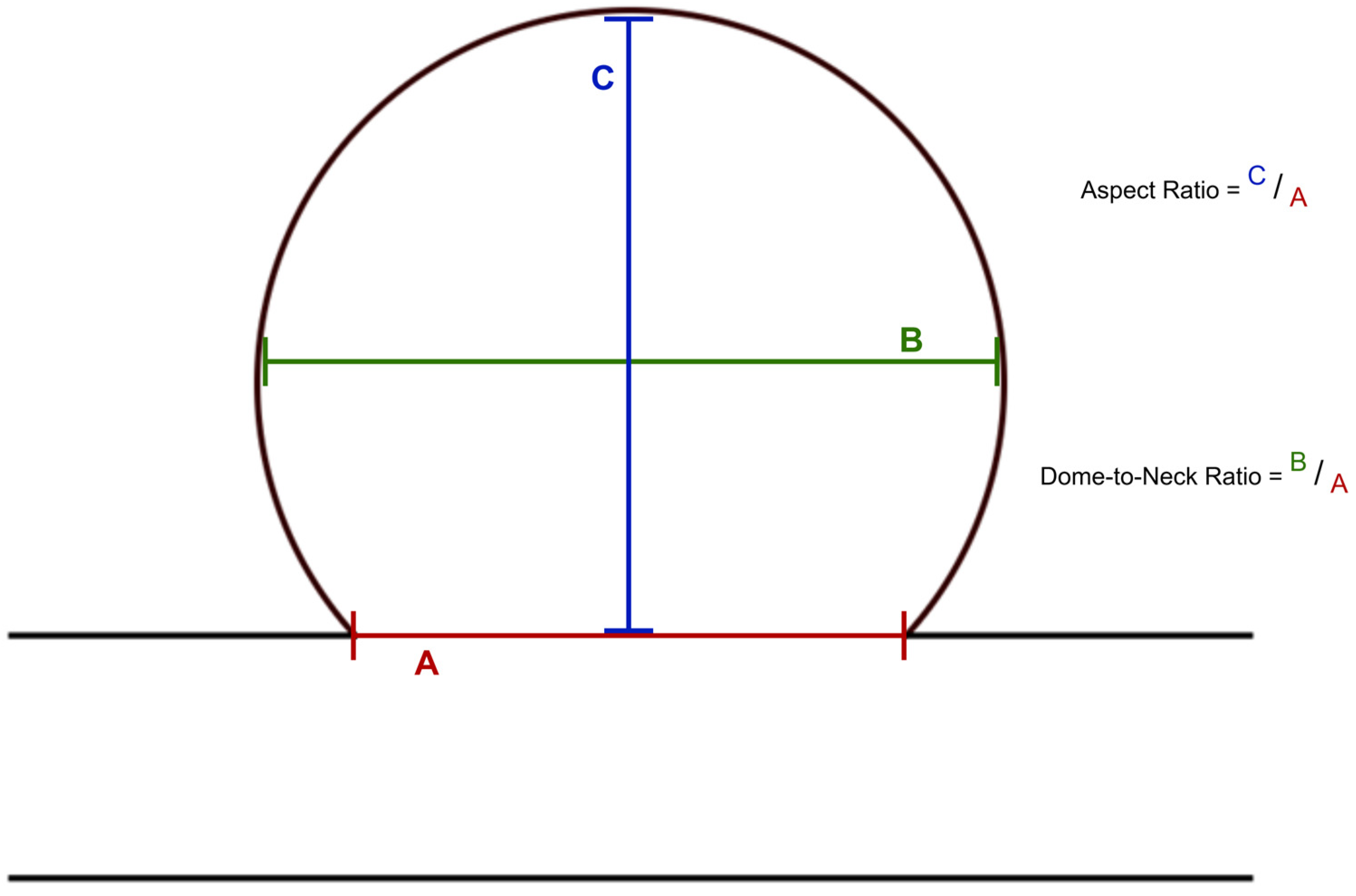 Diagnostics 15 02365 g002