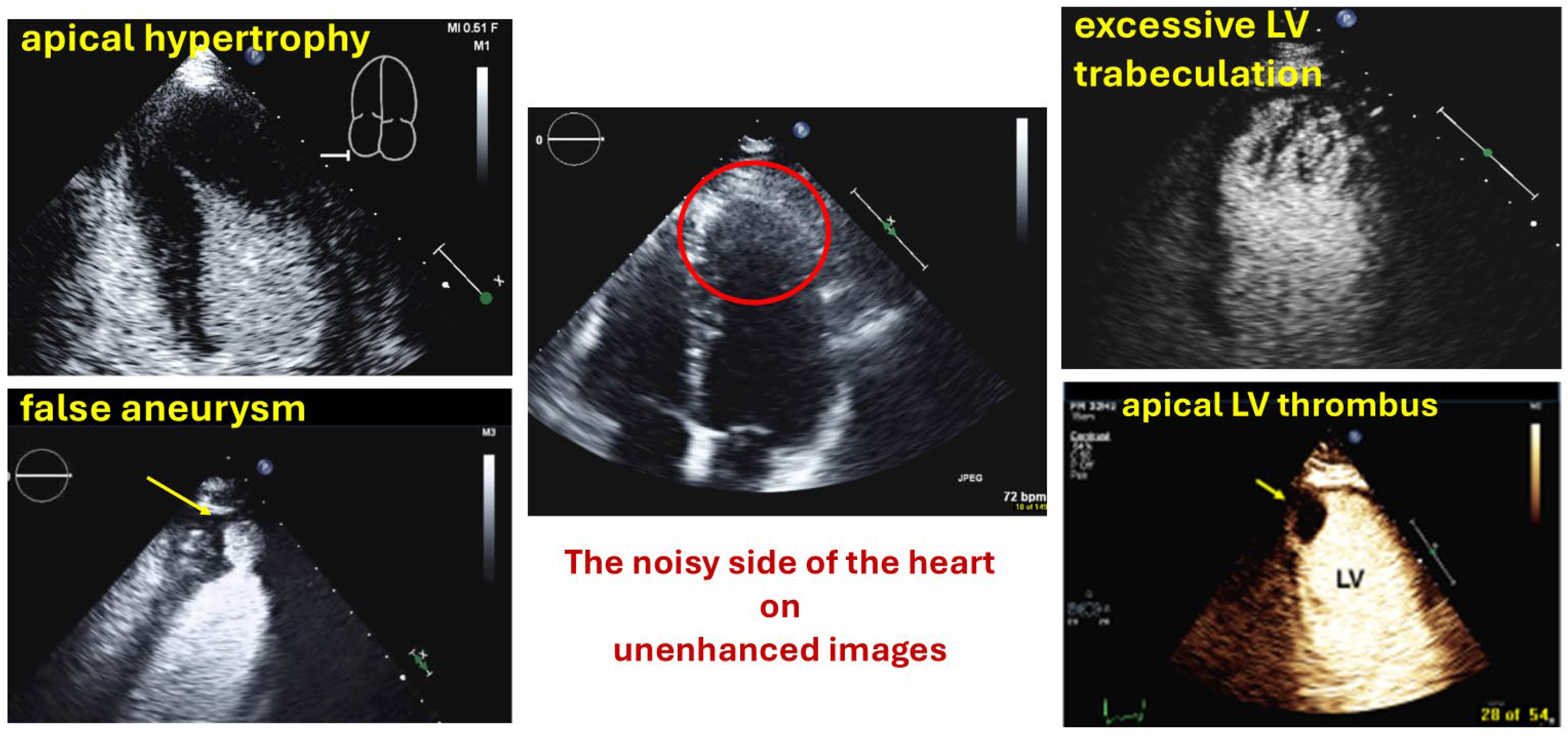 Diagnostics 15 02371 g001