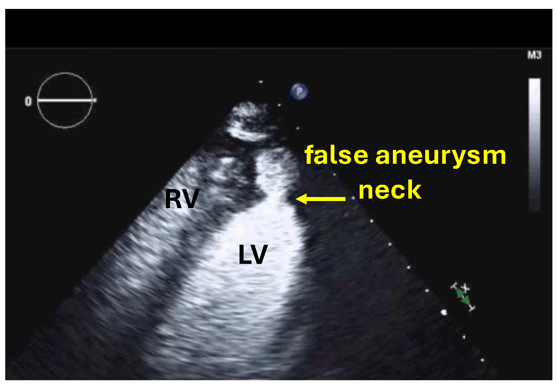 Diagnostics 15 02371 g002