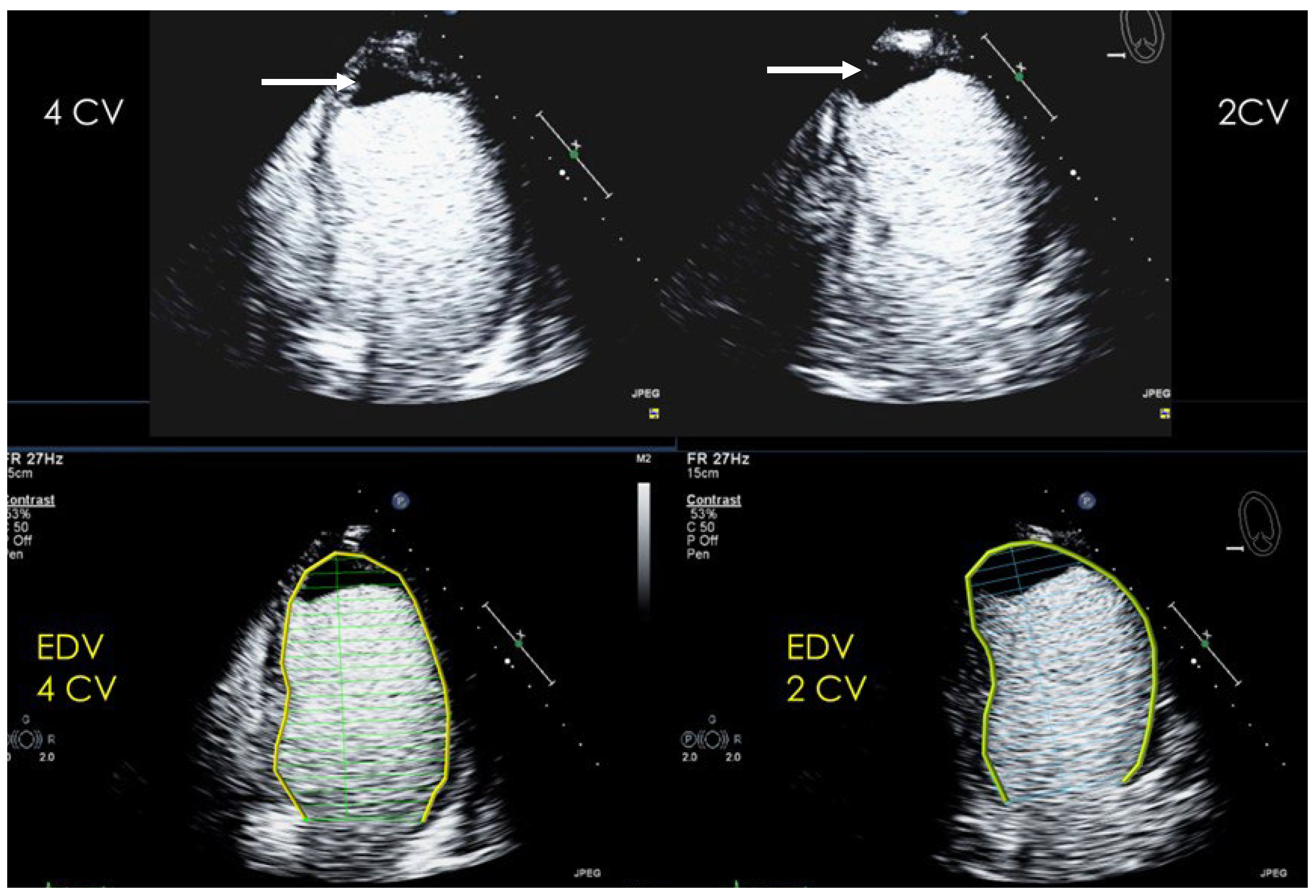 Diagnostics 15 02371 g007