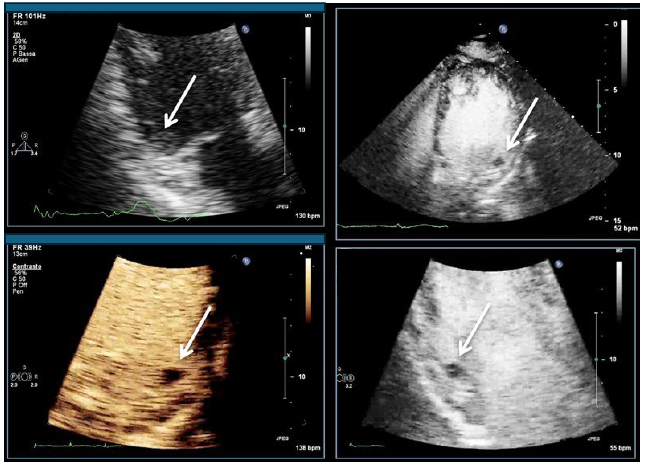 Diagnostics 15 02371 g008