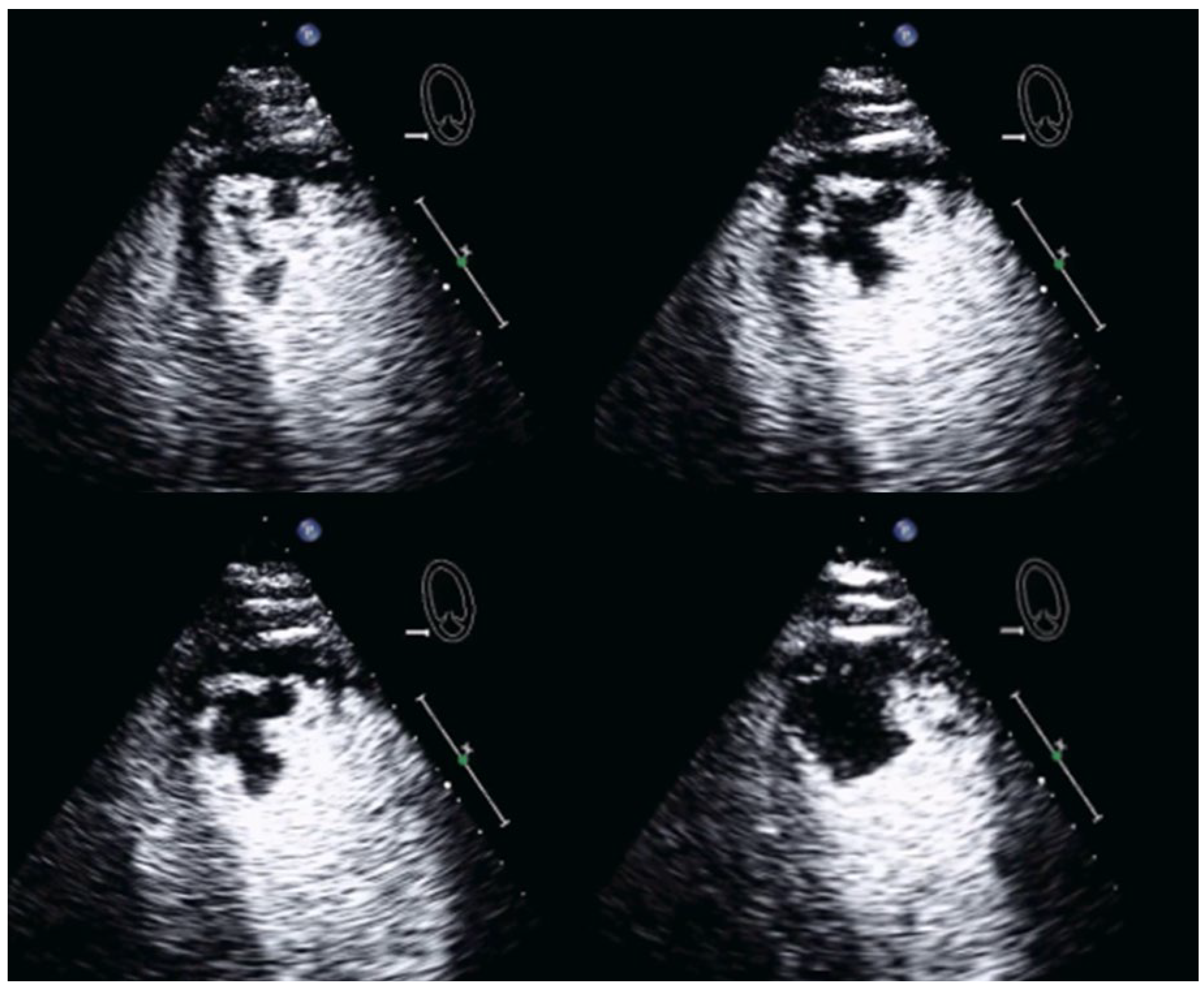 Diagnostics 15 02371 g009